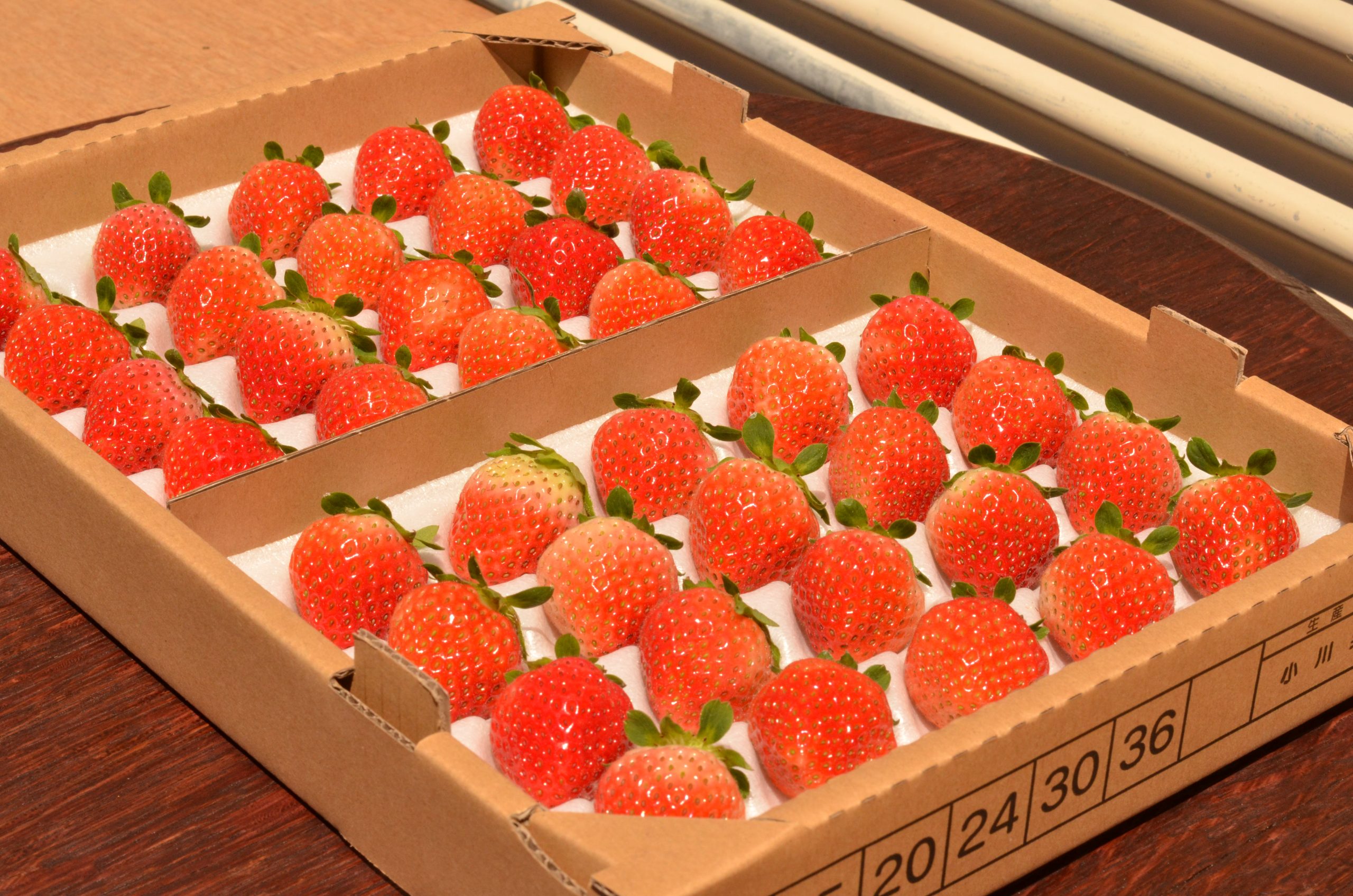 夏いちごの定番すずあかね２４玉（Lサイズ）